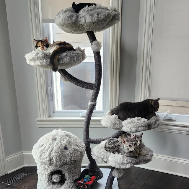 Gray Luxury Modern Cat Tree Tower Wooden Flower Cat Tree Wood Floral Cat climbing Tree Tower for scratcher christmas