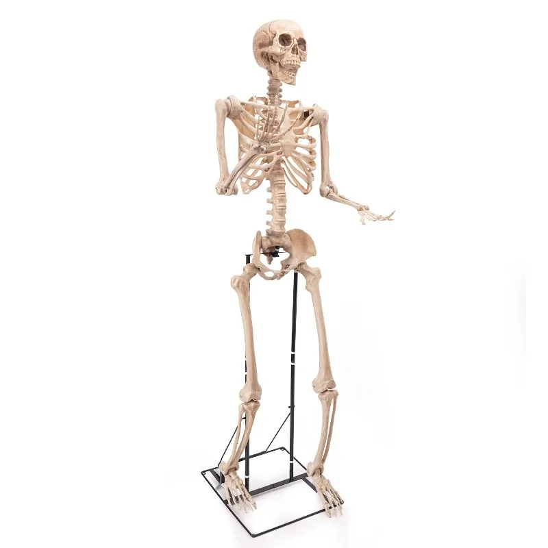 Halloween skull, oversized 22 meter hanging decorative prop, haunted house horror