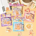 mixed-2pack
