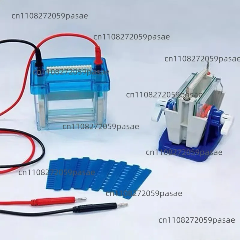 DYCZ-24DN protein vertical electrophoresis cell DYCZ-40D transfer cell gel protein double plate