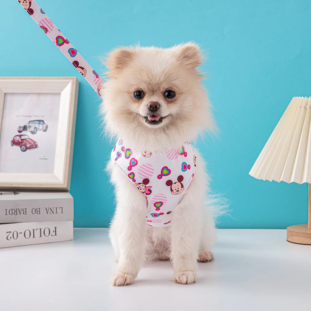 New Disney Pet Vest Chest Harness Leash Set Cute Mickey Print Dog Leash Spring and Summer New Pomeranian Dog Accessories