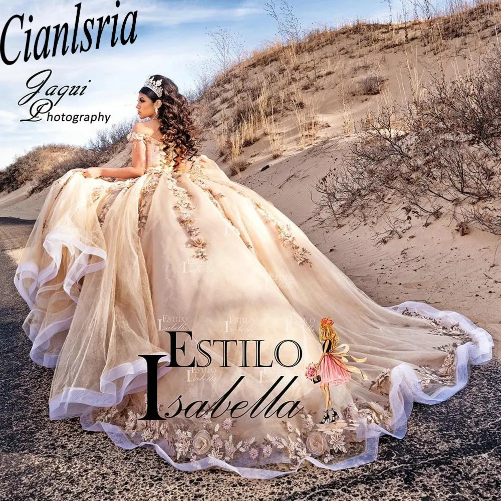 

Champagne Beading Crystal Mexican Quinceanera Dresses Ball Gown Off The Shoulder 3D Floral Lace Corset Vestidos De XV Anos