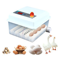 16 Eggs Incubator, Automatic Digital Turner Hatcher, Temperature Control, 360° Rolling, Dual Power Supply, EU Plug