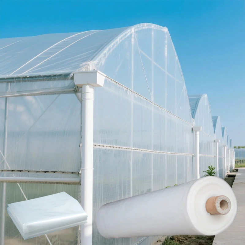 200 Micron PE Greenhouse Film UV Resistant Anti-Fog Double Layer Agricultural Plastic Cover for Flower Growing Shed
