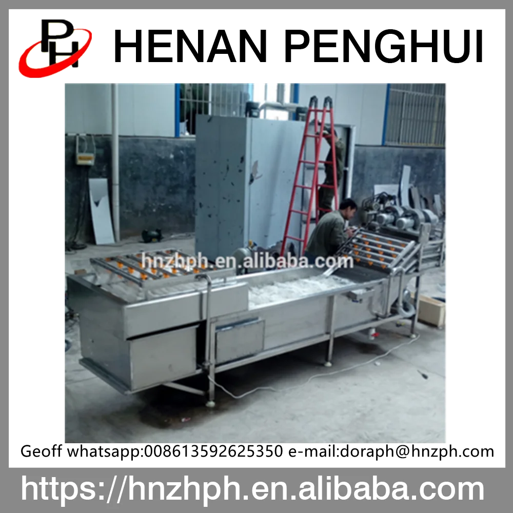 High Quality Industrial Fruit and vegetable Washing Machine Price