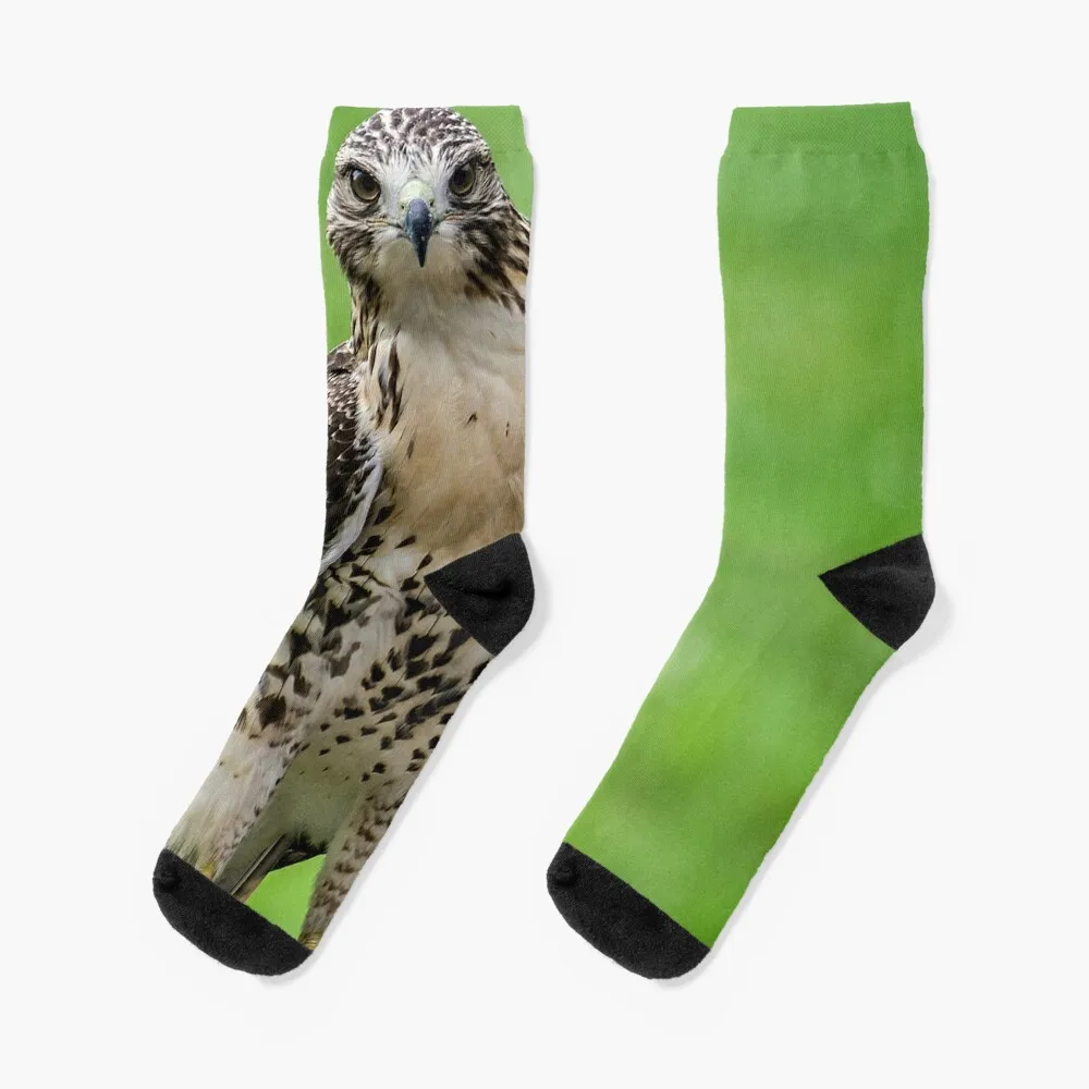 Beautiful Red Tail Hawk On A Railing Socks valentine gift ideas winter custom hip hop Luxury Woman Socks Men's