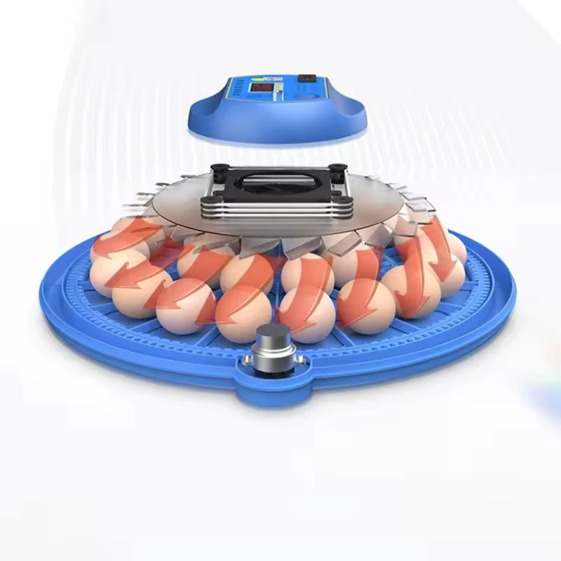 

For 2026 New Design Automatic Poultry Egg Incubator 33 Egg Capacity for Manufacturing Plant Use