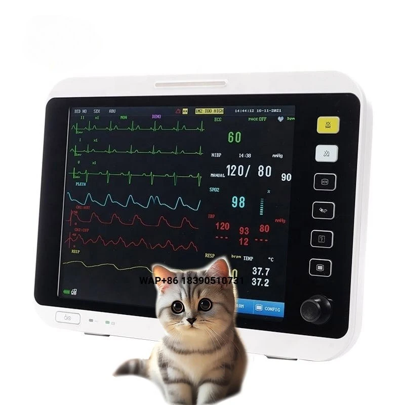 Veterinary Multi-parameter Pet Hospital Clinic Equipment Veterinary Pet Medical Instrument