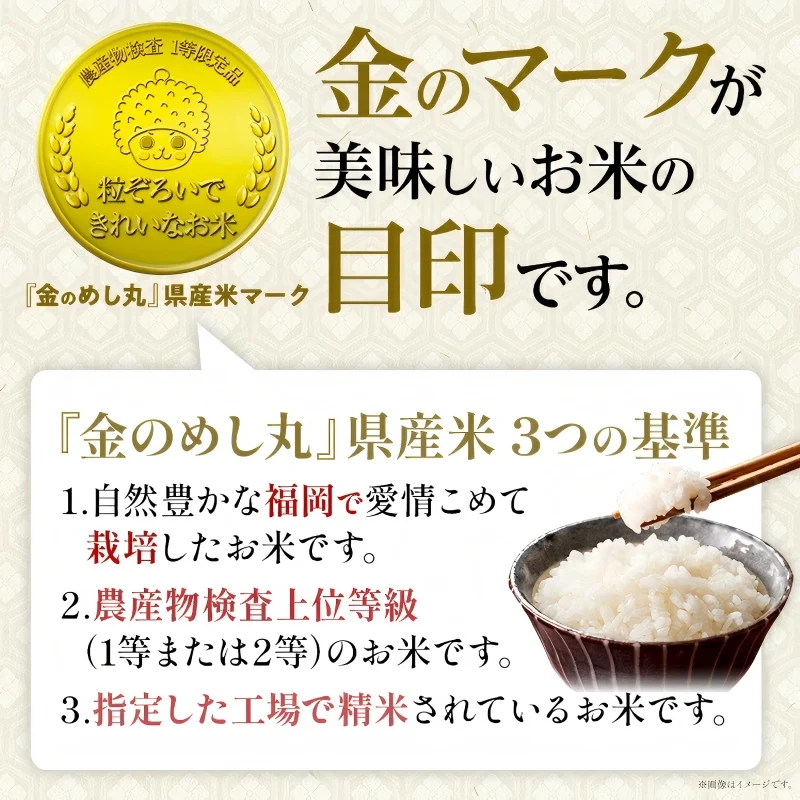 فوكوكا بريف. سعة 5 كجم للاختيار أرز يومي تسوكوشي أرز أرز أرز أرز أرز أرز أرز أرز أرز أرز أرز أرز أرز لذيذ لذيذ #4