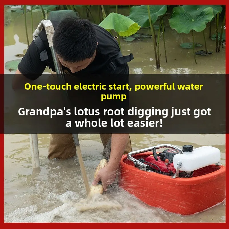 Imported Electric Starting Ship Pump, Four Flush Water Pump, Agricultural Irrigation Excavator, Lotus Root High Pressure