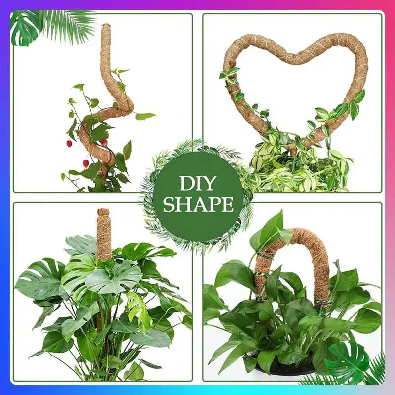 

Layer Selection Climbing Frame Silk Clear Shaped Green Gardening The Use Of Coconut Fiber Exquisite Process Plant Climbing