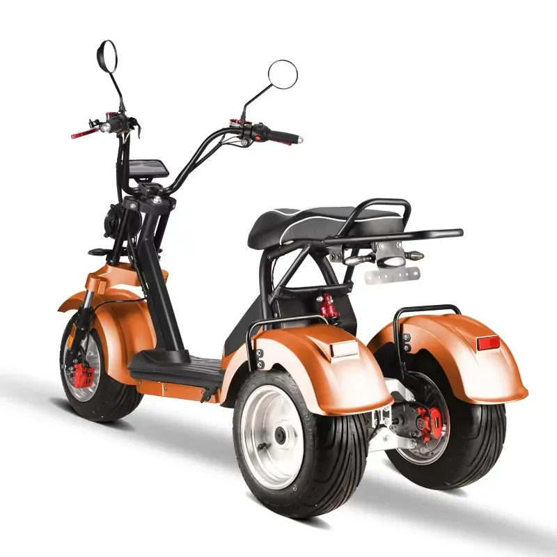STROVAN Eec Certificate Dual Motor 4000w Electric Tricycle Open Powerful Removable Lithium Battery 60v 20AH/2x20AH 60km Range