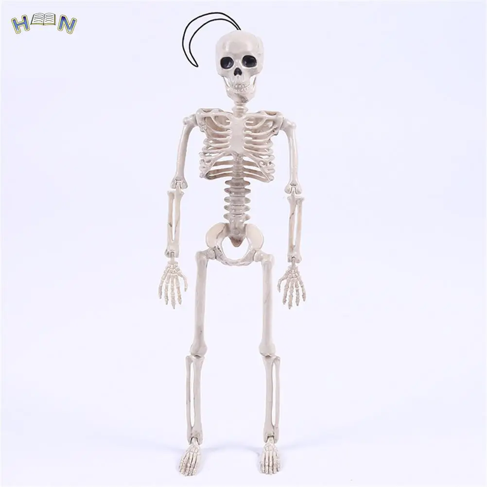 Wholesale Medical Learn Aid Anatomy art sketch 40CM Halloween Flexible Human Anatomical Anatomy bone Skeleton Model Medical