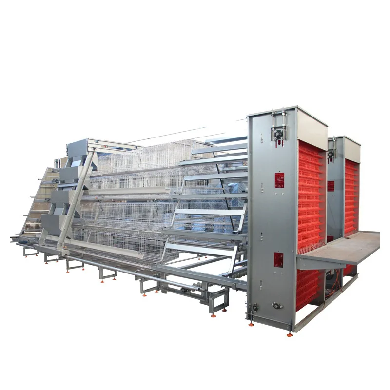 

Fully Automatic Ladder Chicken Cage with Backpack Feeder, Picker, Automatic System, Automatic Feeding System