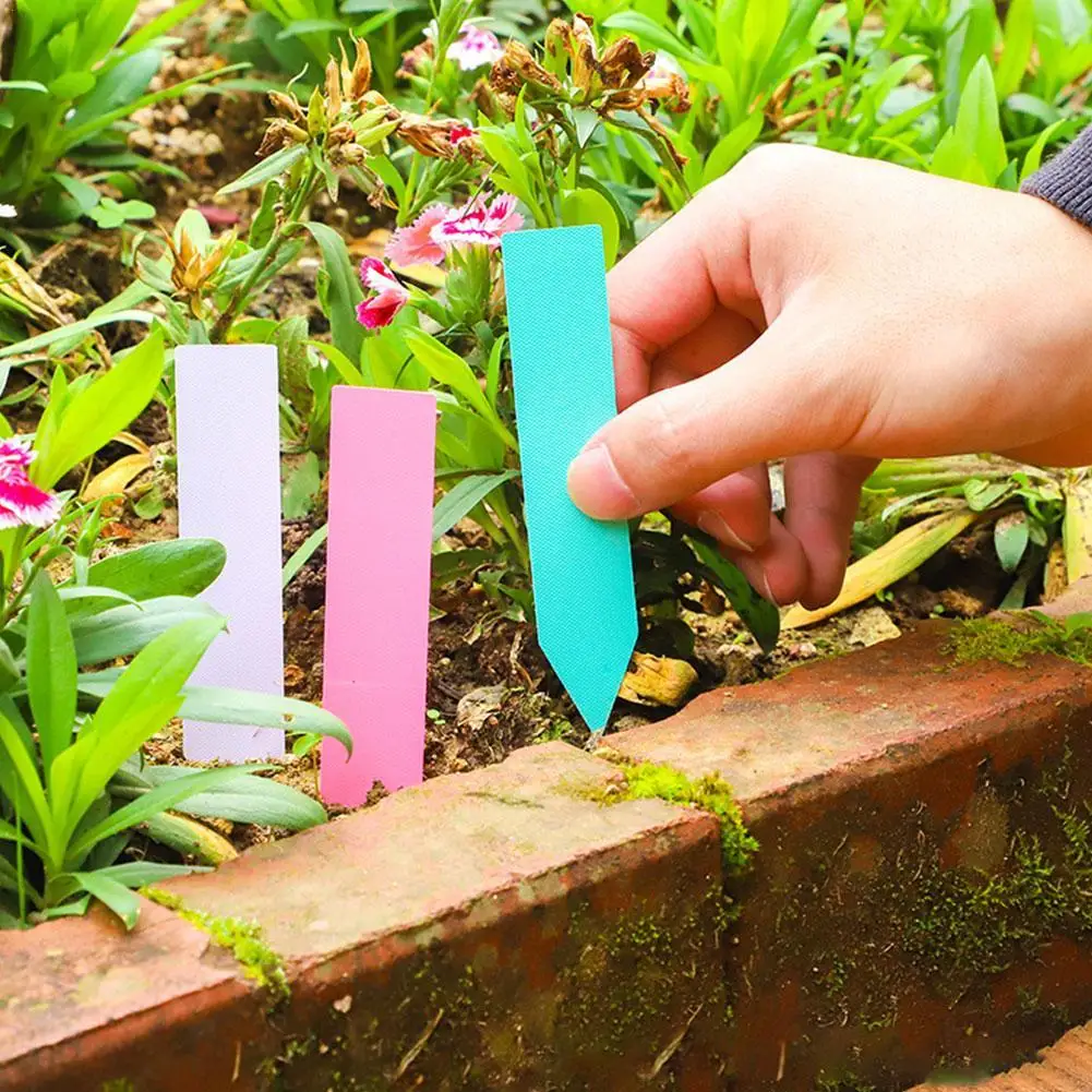 

Waterproof Plastic Plant Tags Garden Plant Labels Nursery Markers Flower Pots Seedling Labels Tray Garden Tools