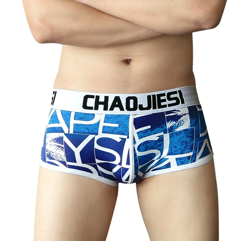 Antarctic Man Men's Underwear, Men's Briefs, Trendy Cotton Boxer Shorts, Summer Thin Breathable Shorts, Underpants, Underwear Br