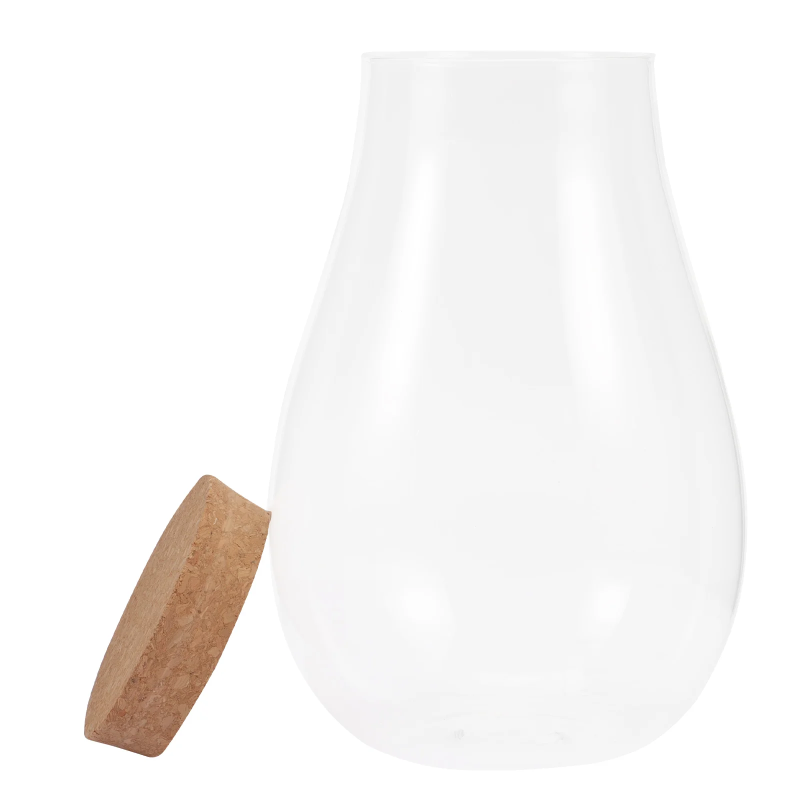 Houseplant Micro Landscape Ecological Bottle Water Plants Container Outdoor Wooden