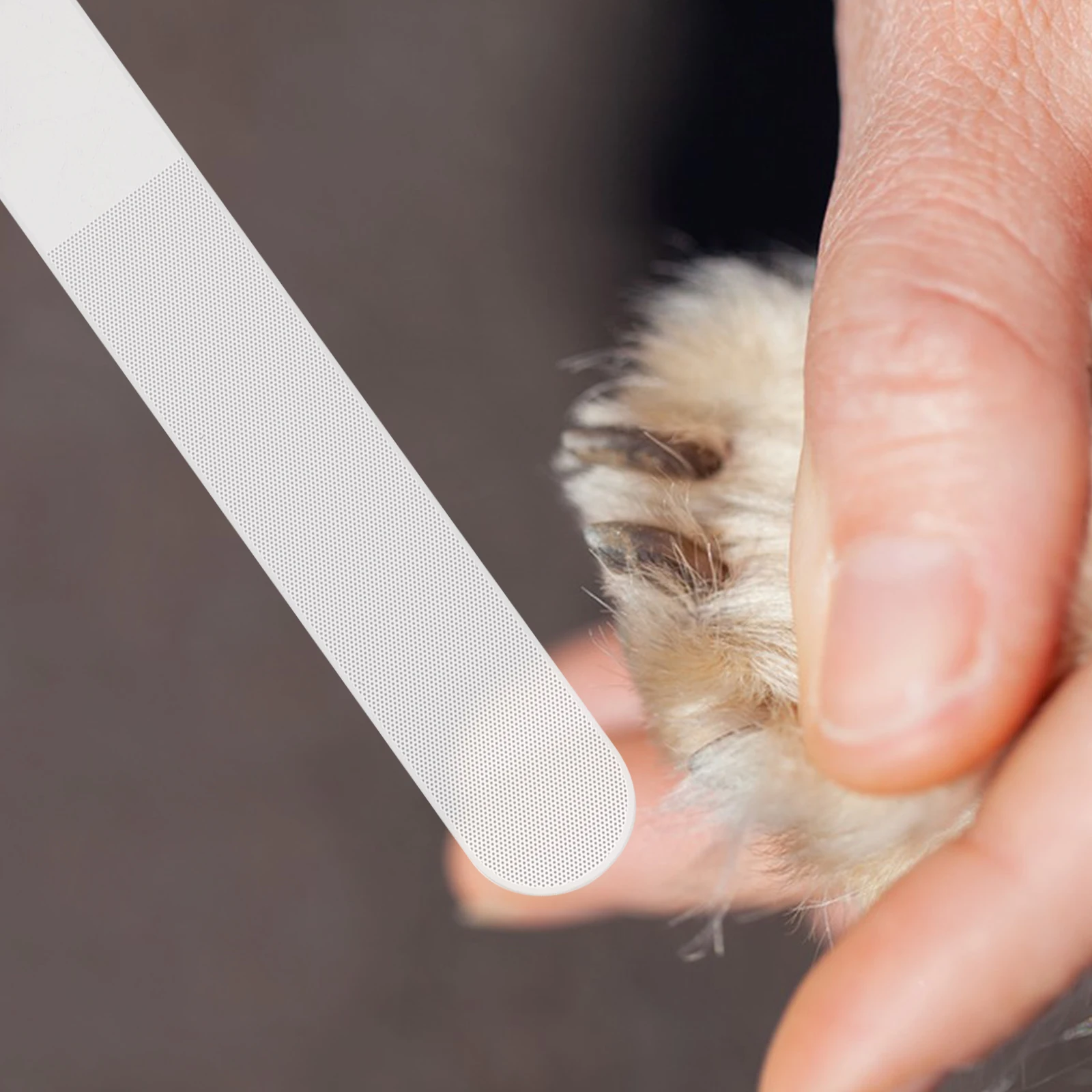 

Pet Nail File Puppy Cat Dog Nail Grinding Durable Lightweight Grooming Trimming Tool Safe Non-Slip Handle Easy Use