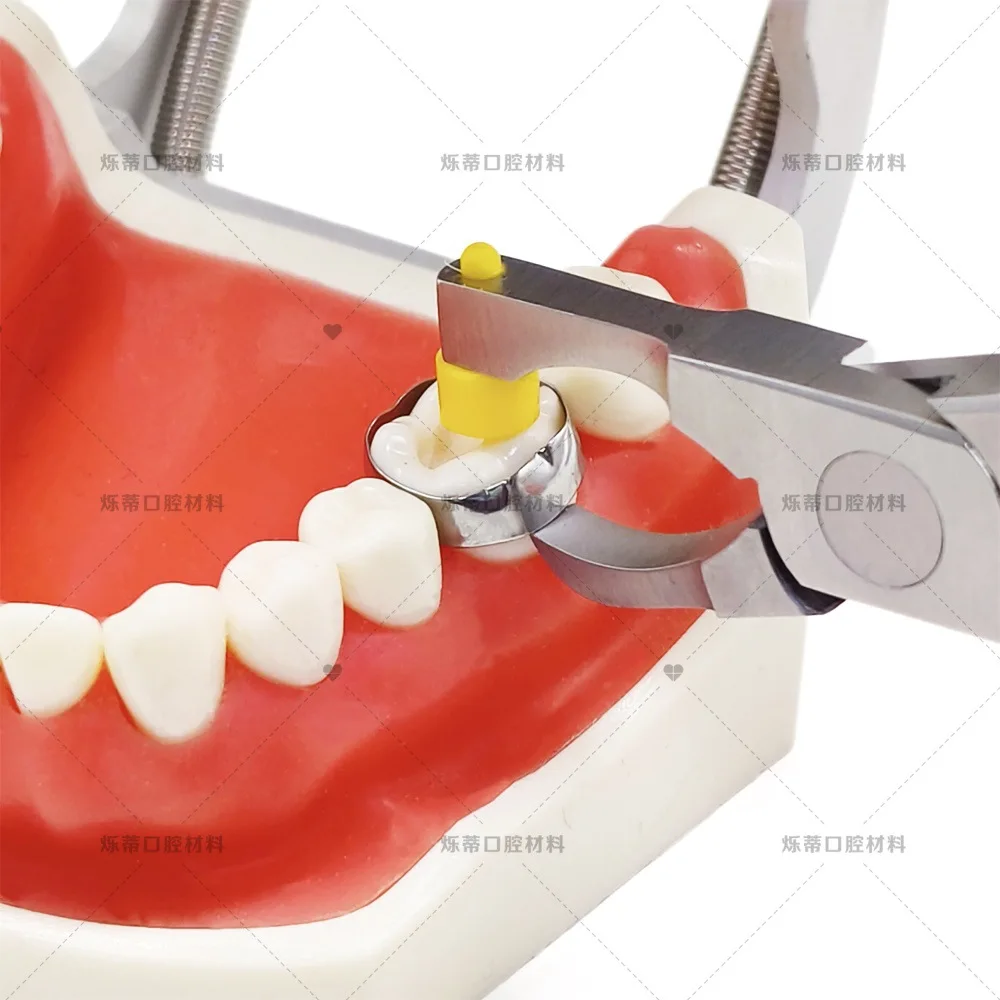 G Laboratory Ring Removal Clamp Stainless Steel Orthodontic Clamp Ring Removal Clamp Laboratory Tools s
