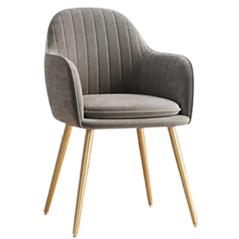 

Aesthetic Modern Dining Chairs Luxury With Arm Rest Leg Protector Metal Living Room Chairs Designer Cushion Chaises Furnitures