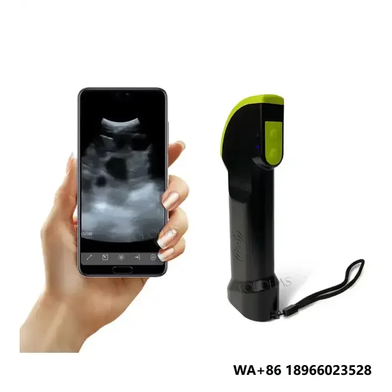 

LHWS4 Veterinary Wireless USG Machine Vet Ultrasound Probe Diagnosis Of Sows Sheep Goats