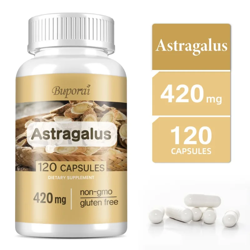 

Astragalus - Supports Digestive Health, Promotes Overall Well-being and Relieves Stress - 120 Capsules