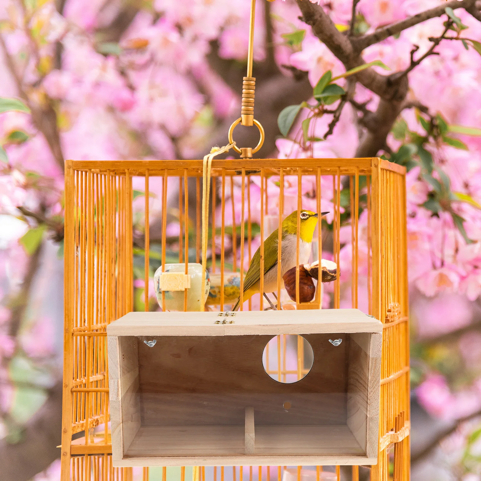 

Bird House Cage Conure Kits Box Birdhouses Nest Acrylic Window Parakeet Breeding Wood Outdoor Garden Hut Transparent Viewing