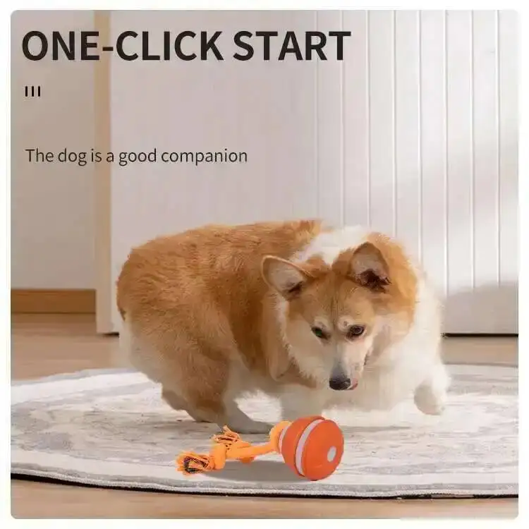 Thumbnail 2 - #17 Puppy Rope Toys Discount Picks