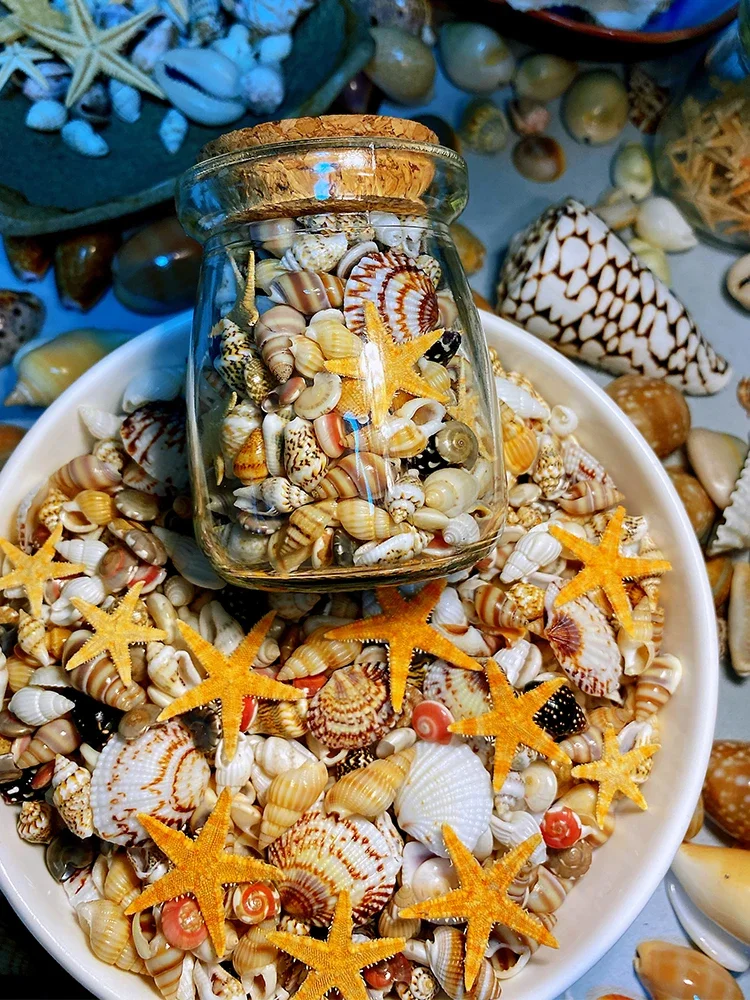 Six or seven kinds of ultra-small shell conch + starfish combination, about 400 pieces in a wishing bottle