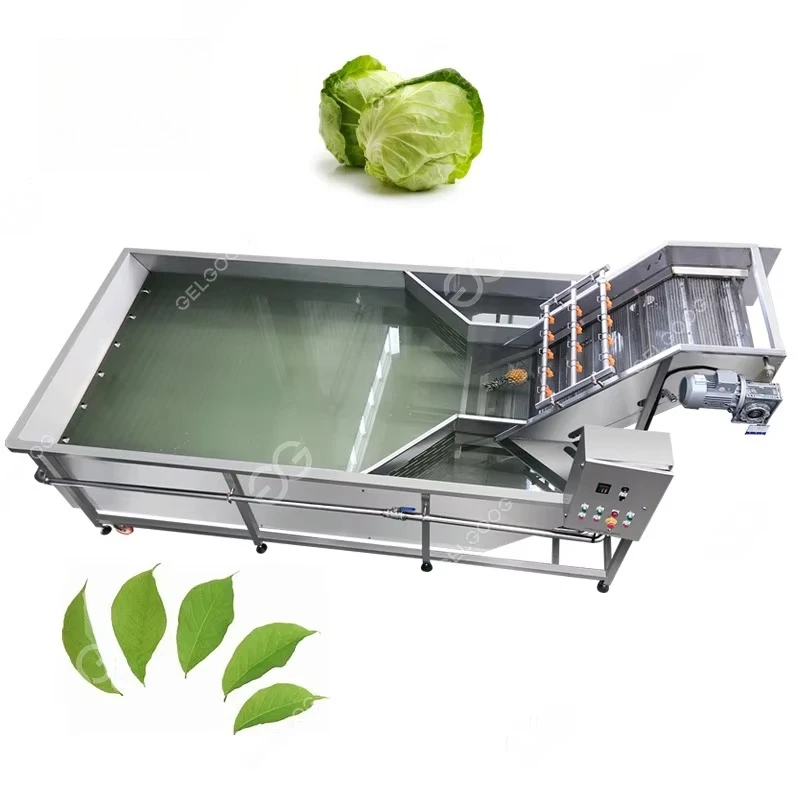 Processus de lavage de fruits et légumes vanille feuilles vertes Machine à laver industrielle Chou