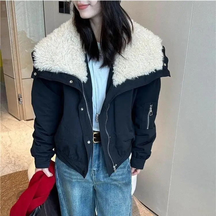 

2025 Winter Lamb Wool Big Collar Parker Down Cotton Jacket Aging Jacket