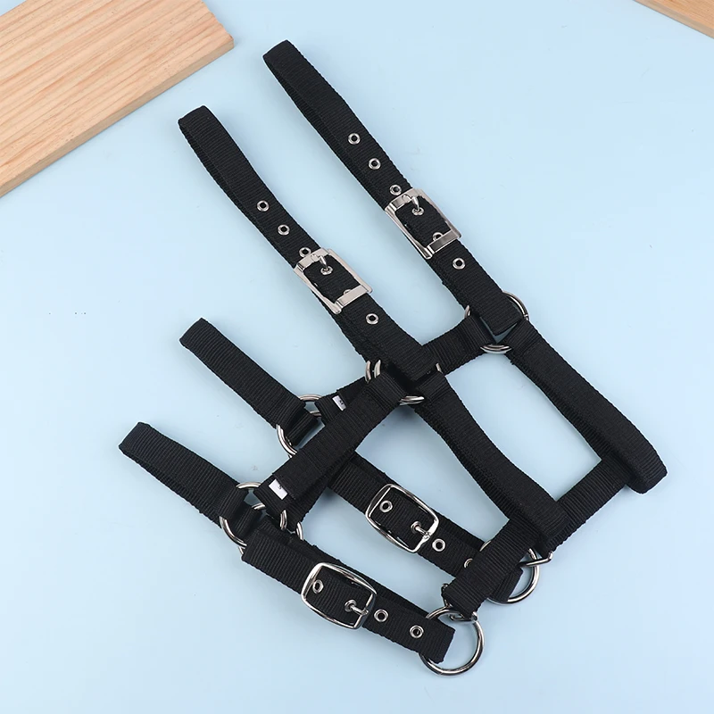 Thumbnail 3 - #14 Horse Harnesses Comparison Guide