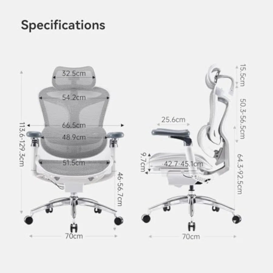 Ergonomic office chair for daily work use, premium mesh back and padded seat in black, ultra-soft 6D adjustable armrests for en
