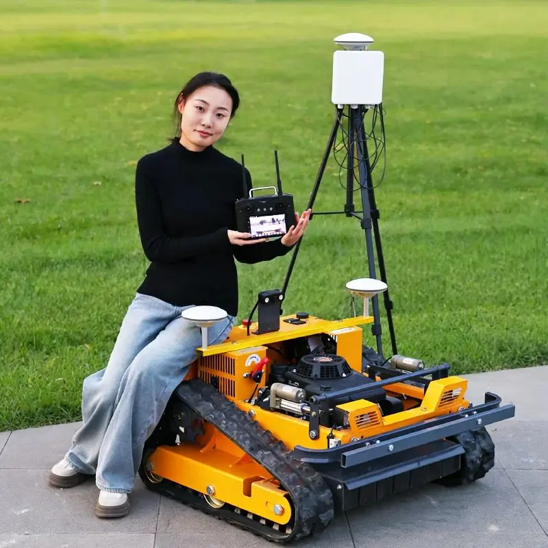 Customized Novice T…