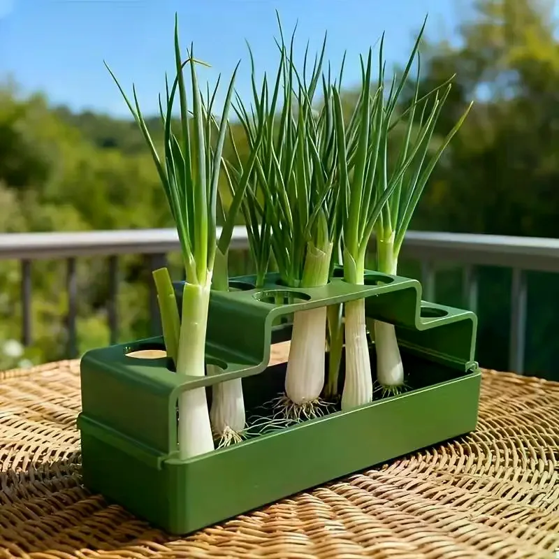 1Pcs Lettuce Sprout Planting Pot Plastic Chives Seedling Tray Coriander Ventilated Water Cultivation Box Vegetable Growing