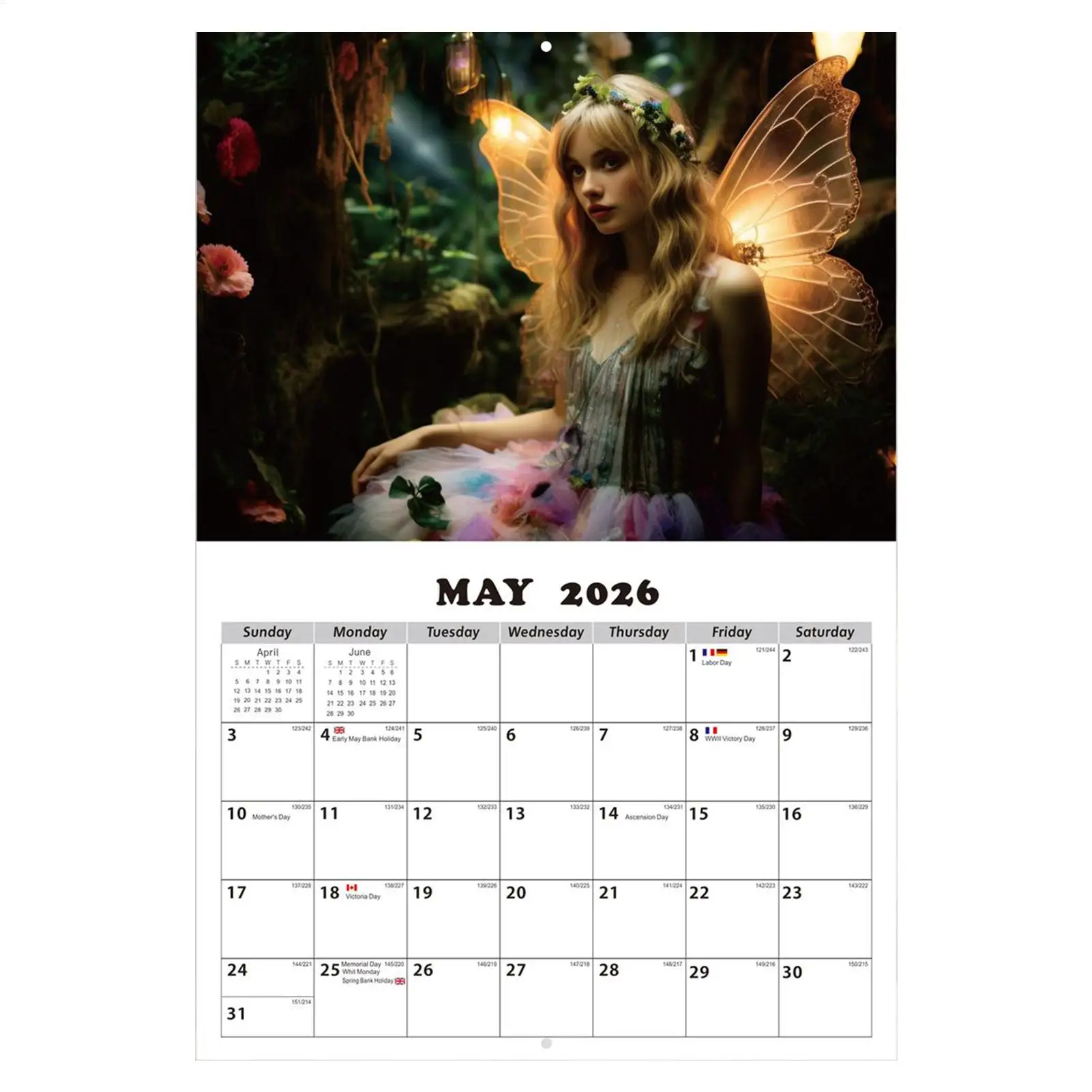 

Fairies Calendar For Wall 2026 Enchanting Fairy Princess Calendar 2026 Home Fantasy Art Daily Planner Organizer Decor For