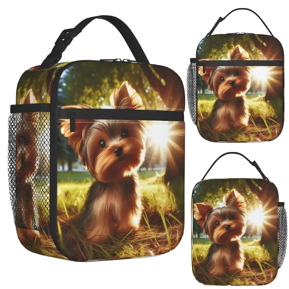 Yorkshire Terrier Dog Yorkie Lover Insulated Lunch Bag for Kids School Cooler Thermal Food Box Tote Lunch Boxes Container