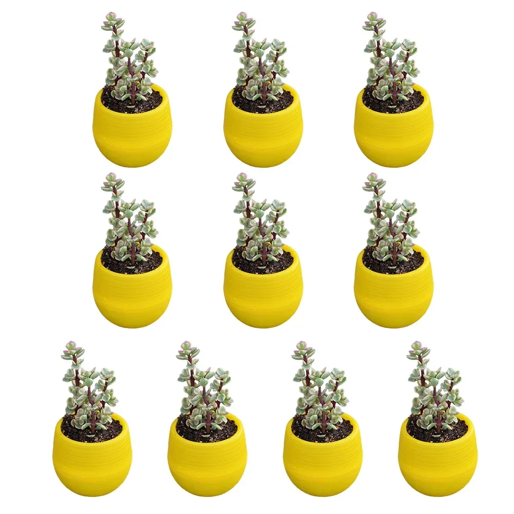 

10pcs Mini Flower Pot Small Plastic Flowerpot Succulent Potted Plant Trays Vase Home Office Decor DIY Garden Supplies