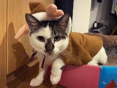 Emax Simonk Esc 12A…