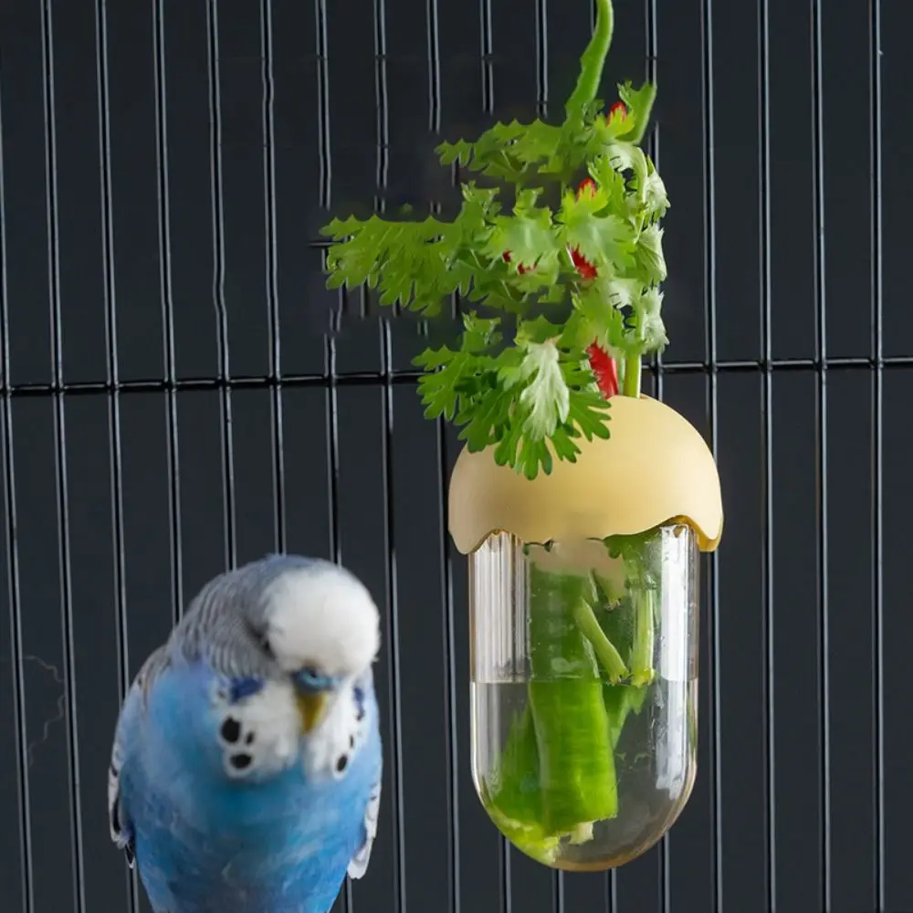 

Transparent Parrot Flower Hydroponic Bottle Reusable BPA-Free Parrot Feeding Device Eco-Friendly Flower Arrangement Jar