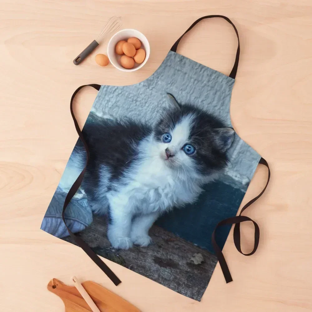 

Black + White Kitten Apron Kitchenware Household Items Useful Kitchen House Things For Home And Kitchen Apron