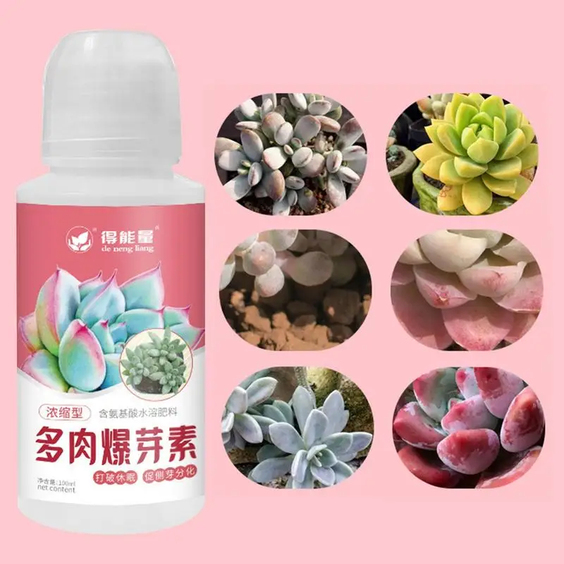 

100ml Succulent plant bursting element foliar fertilizer fattening coloring promoting growth bursting buds nutrient solution