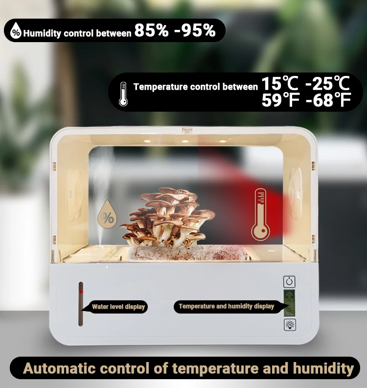 New Design Mini Mushrooms Plan - Smart Garden Design ulasan dan harga