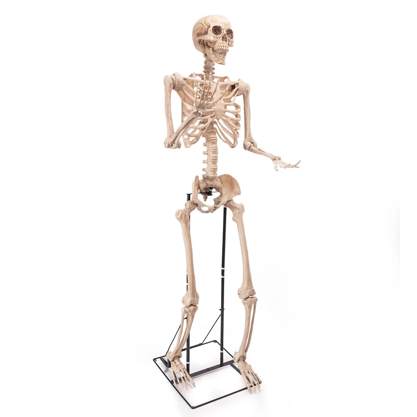 

Skeleton Skeleton Day of the Dead Extra Large 2.2m Skeleton Decoration Secret Room Haunted House Horror Pendant Props