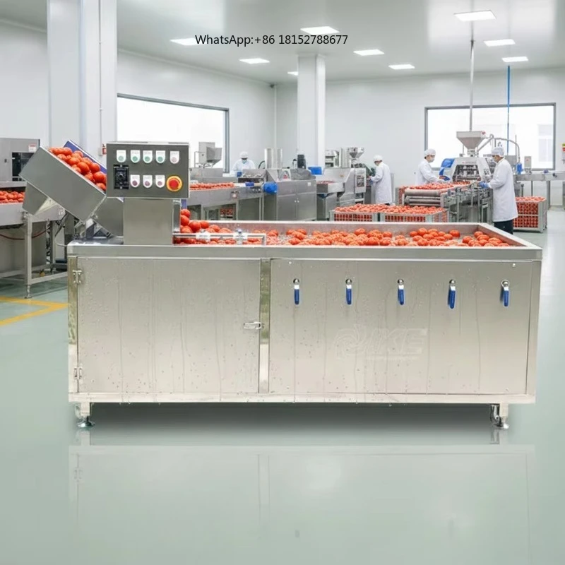 Automatic Fruit & Vegetable Washing Machine for Tomato Food Processing Line Cleaning Equipment