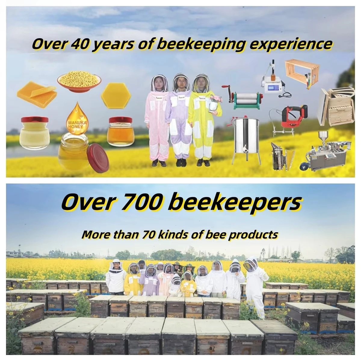 Machine Extraction Spinner Used Electric Honey Extractor for Buyer12 Frame Automatic Reversible Radial Bee Honey Processing