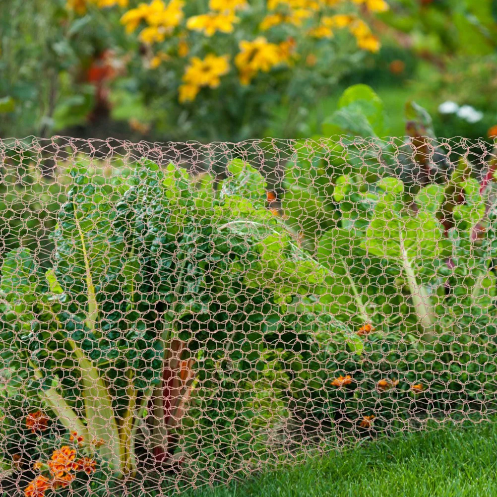 

Pure Copper Shielded Wire Mesh Building Hole Screening for Slugs Rustproof Excluder Net