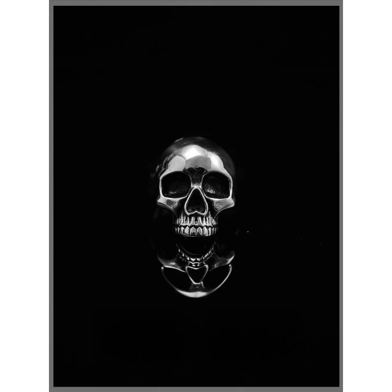 Retro Punk Smooth Skull Titanium Steel Ring Boys Tail Ring Niche Personality Goth European and American Ring Jewelry
