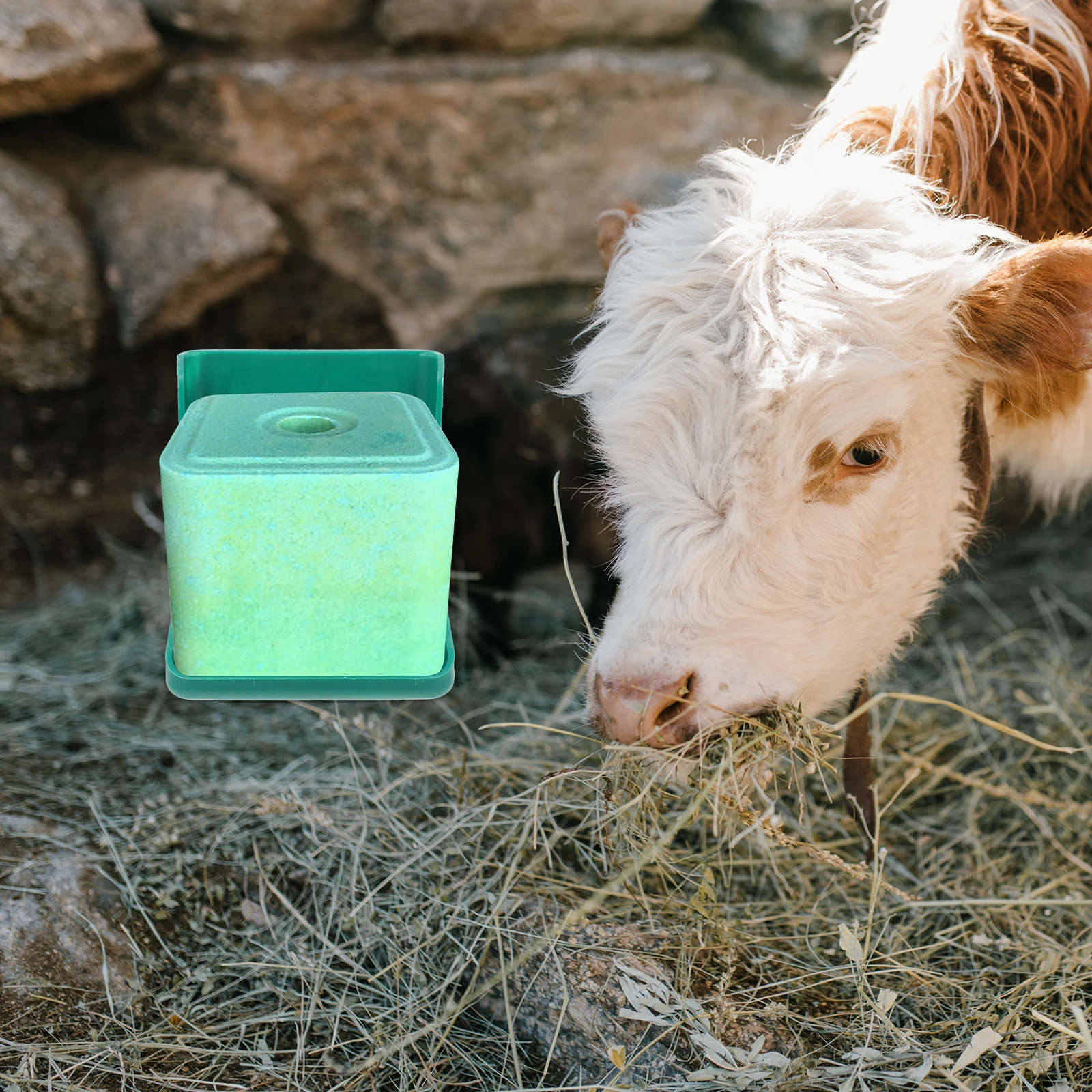 

Livestock Feeder Salt Brick Licking Box Pp Material Durable Cattle Sheep Horse Fodder Tray Square Farm Equipment