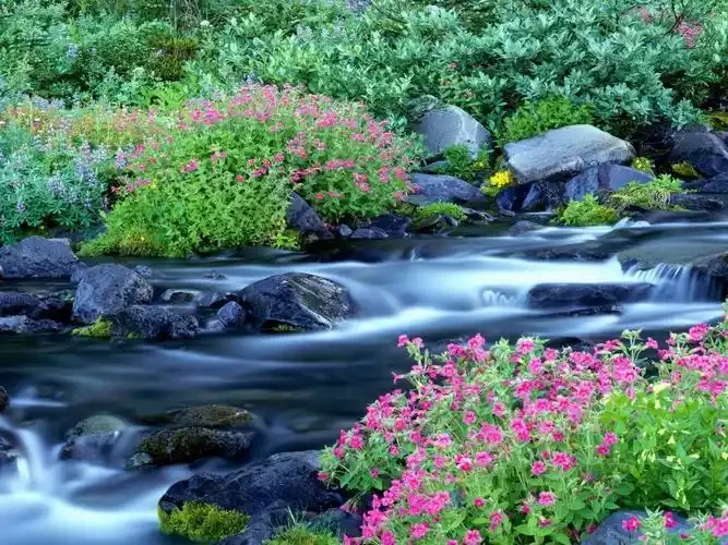 

Для Honda Jade 2013-2020 марганцевая сталь под защитным приспособлением двигателя, капоты двигателя, щиток двигателя, автомобильные аксессуары.